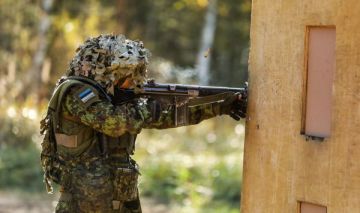 В Эстонии признали – оборонная промышленность упирается в госзаказ