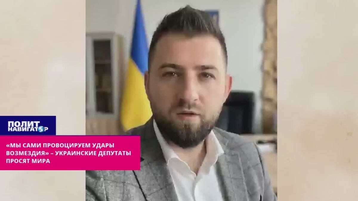 «Мы сами провоцируем удары возмездия!» – разжигатели Майдана заскулили о мире