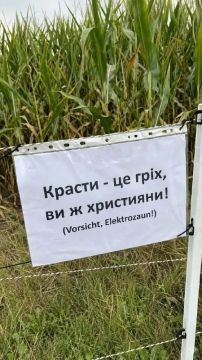 «Красть — грех!»: Немцы начали предупреждать воров на их родном языке