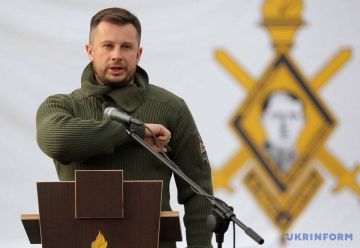 Юлия Витязева: Зеленский подписал указ о присвоении звания Героя Украины нацисту Белецкому