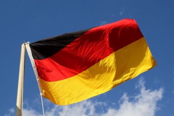 Глава МИД Германии Вадефуль признал, что у Берлина не хватает средств на поддержку Киева