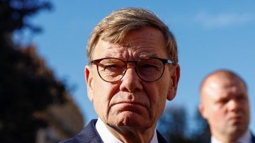 Глава МИД Германии обратился к странам, которые колеблются в поддержке Киева