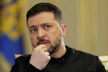Патаман: Электоральные риски могли бы удержать Зеленского от снижения призывной возраст