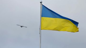 Коррупция на Украине стала «обычным рабочим процессом»