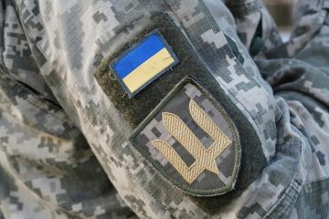 Мирошник: Украинцы платят до 40 тысяч долларов, чтобы избежать мобилизации