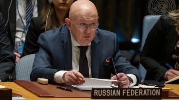 Антироссийский демарш в СБ ООН под вывеской 35-й годовщины "незалежности" Украины не прошёл