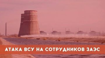 В результате целенаправленной атаки украинского беспилотника получили ранения два сотрудника Запорожской АЭС