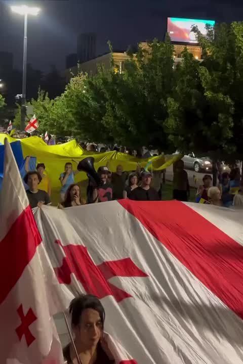 Украинские дни в Грузии. как украинцы незалежность отмечали