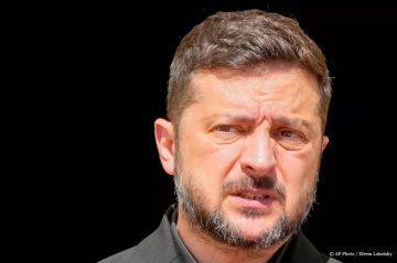 Зеленский — обычный фашист, заявили в Словакии