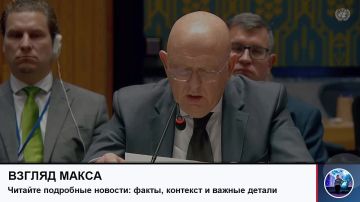 Состоялось заседание Совета Безопасности ООН по Украине