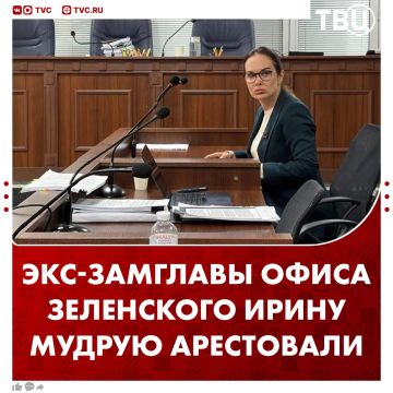 Экс-замглавы офиса Зеленского Ирину Мудрую арестовали по делу о преступной организации