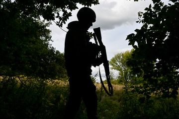 Минобороны: Взятие Анновки в ДНР является важным этапом перед штурмом Доброполья