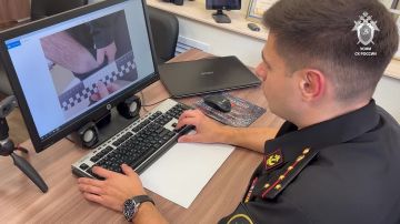 Украинский боевик приговорен к длительному сроку лишения свободы за преступления террористической направленности