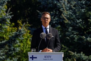 Стубб: Украине нужно быть готовой к худшему сценарию зимой