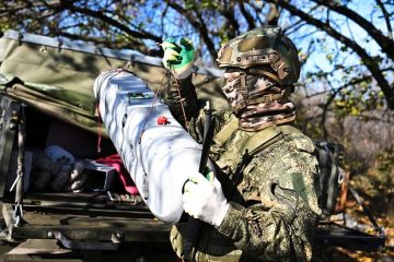 Минобороны: Российские БПЛА ударили по предназначенному для ВСУ сухогрузу в порту «Южный»