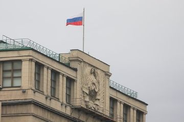 Депутат Госдумы Белик назвал «коалицию желающих» гробовщиками Украины