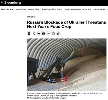 Зерновой кризис на Украине может продолжиться и в 2027 году — Bloomberg