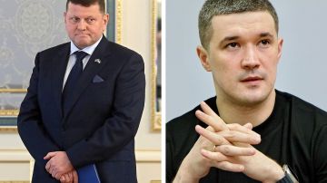 Ставки на Залужного и Федорова: Запад тестирует сменщиков Зеленского на посту президента Украины