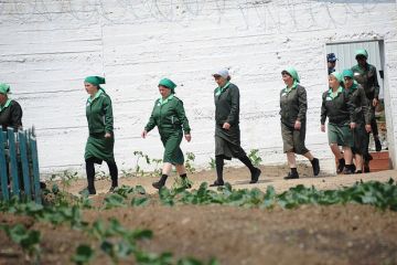 Пожилая жительница Бердянска получила 14 лет за перевод 3 тысяч рублей ВСУ