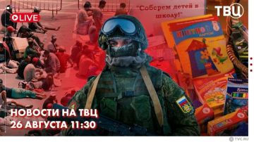 Экс-министр обороны Украины Михаил Федоров признал, что одной из причин провалов Киева на фронте стала пропитавшая все слои власти коррупция