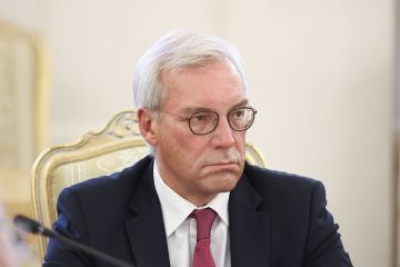 РФ не получала от Украины предложений о прекращении ударов на суда в Черном море – Грушко