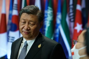 Си Цзиньпин поздравил Зеленского с днем независимости Украины на китайском языке