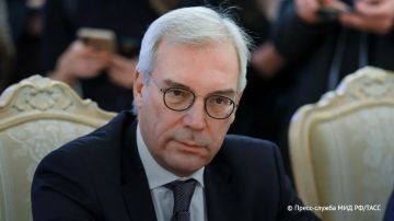 Замглавы МИД РФ Грушко заявил, что ему неизвестно о предложениях Зеленского о прекращении ударов по гражданским судам в Черном море