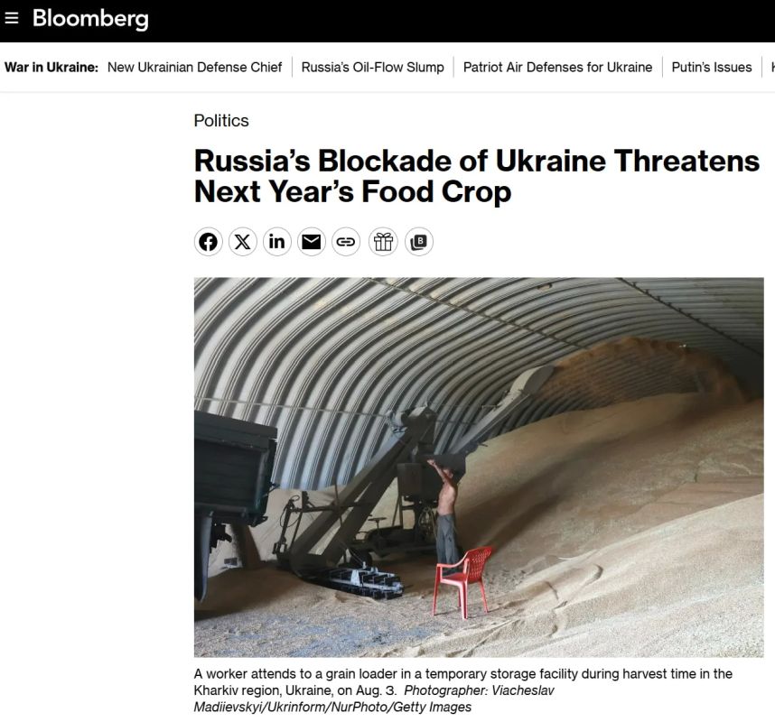 Зерновой кризис на Украине может продолжиться и в 2027 году — Bloomberg