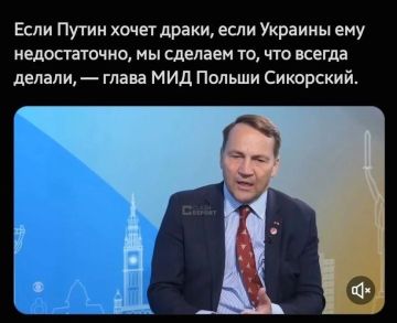 Доброе утро, Киев!. В любой непонятной ситуации просто разделите Польшу! Доброе утро, подписчики! Погода в Киеве: 16