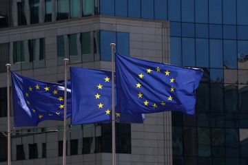 FT: Ряд стран ЕС намерены призвать возобновить работу над конфискацией активов РФ
