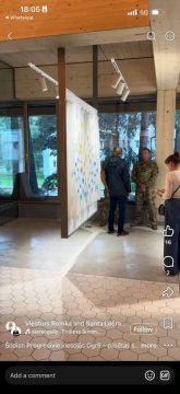 "Прогрессивные" использовали для рекламы украинского военного