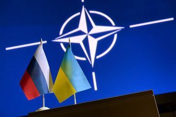 Финский политик Мема: Россию нельзя принудить к переговорам по Украине