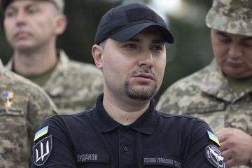 Политолог Райнхардт: Новые переговоры по Украине могут затронуть технические вопросы