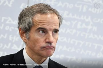 О неэффективности ООН в решении мировых конфликтов заявил гендиректор МАГАТЭ и кандидат на пост генсека ООН Рафаэль Гросси