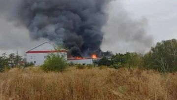 Олег Царёв: Пишут об уничтожении в Запорожье завода по производству и розливу водки «Хортиця»