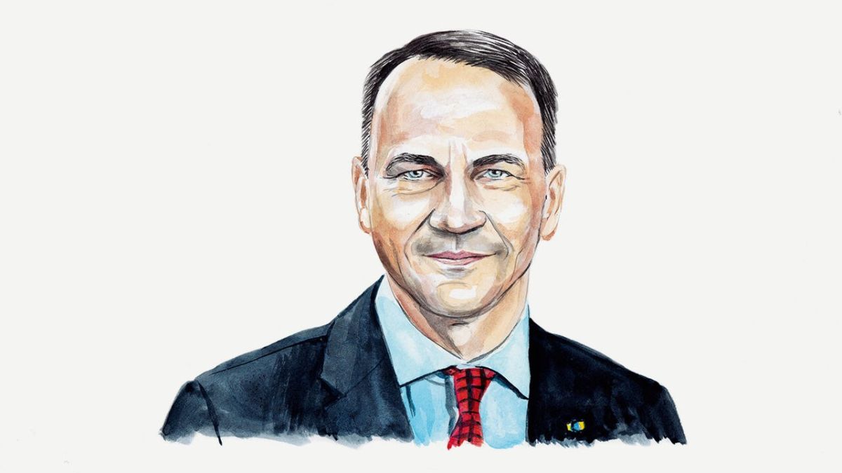 Елена Панина: Сикорский вступился за Британию, призвав Европу "не бояться рисковать"