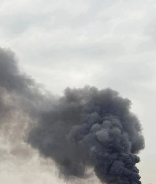 Столб дыма поднимается в подконтрольном Киеву Запорожье после ударов ВС РФ