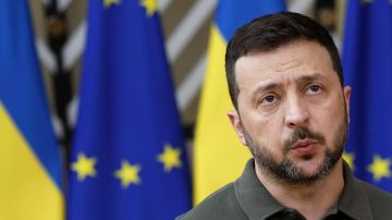 Бывший премьер Украины назвал Зеленского «выжившим из ума»