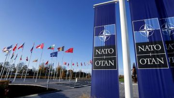 "От восторга к крокодильим слезам": На Западе предупредили НАТО об ответных ударах России