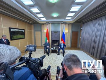 Началась встреча Путина и Лукашенко