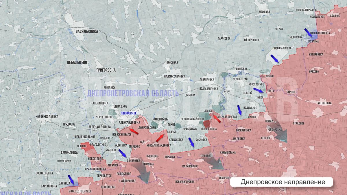 Олег Царёв: Фронтовая сводка 29 августа