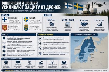 Александр Зимовский: Финляндия и Швеция объединяются для усиления защиты от беспилотников