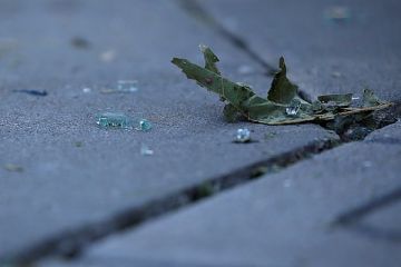 � �������� � ��������� ���������� ������