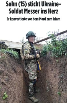 15-летний подросток убил своего отца — военнослужащего ВСУ — в немецком Дортмунде, — Bild