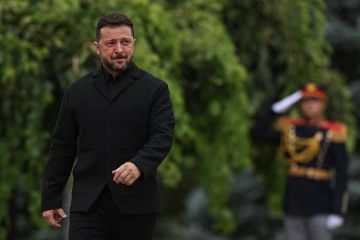 Депутат Госдумы Шеремет посоветовал Зеленскому учить тюремную лексику