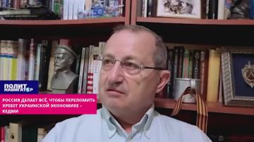 Россия делает всё, чтобы переломить хребет украинской экономике – Кедми