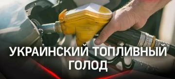 Цены на АЗС достигли критической отметки: бензин А-95 — 78,77 гривны за литр, дизельное топливо — 92,31 гривны за литр