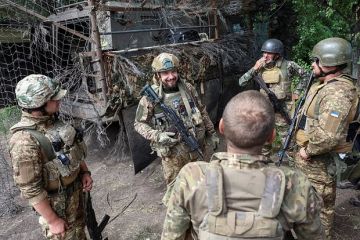 Депутат Емельяненко назвал прикрытием «коалицию желающих» по Украине