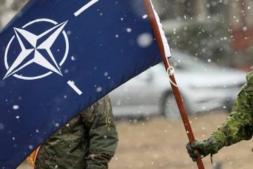 ������ ����� ��� ������: ��������� ���� ����� ������������� ��� �������