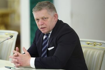 Премьер Словакии Фицо назвал стратегической ошибкой ЕС поддержку Украины